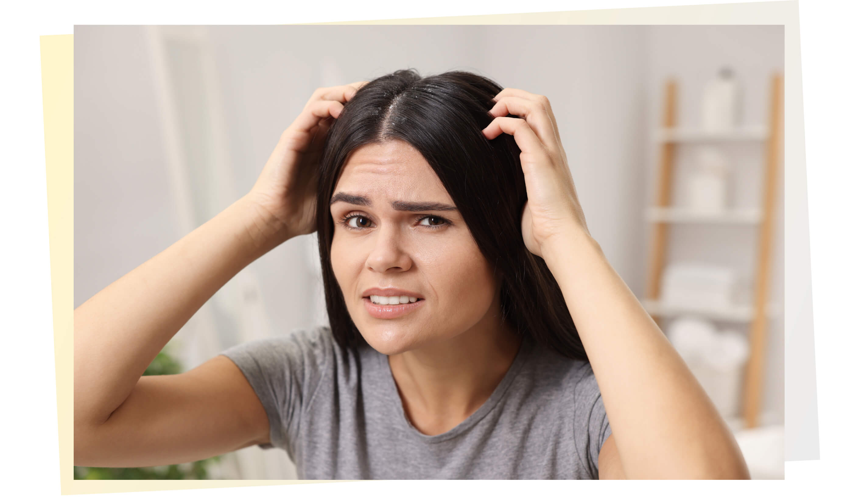 Вводное изображение