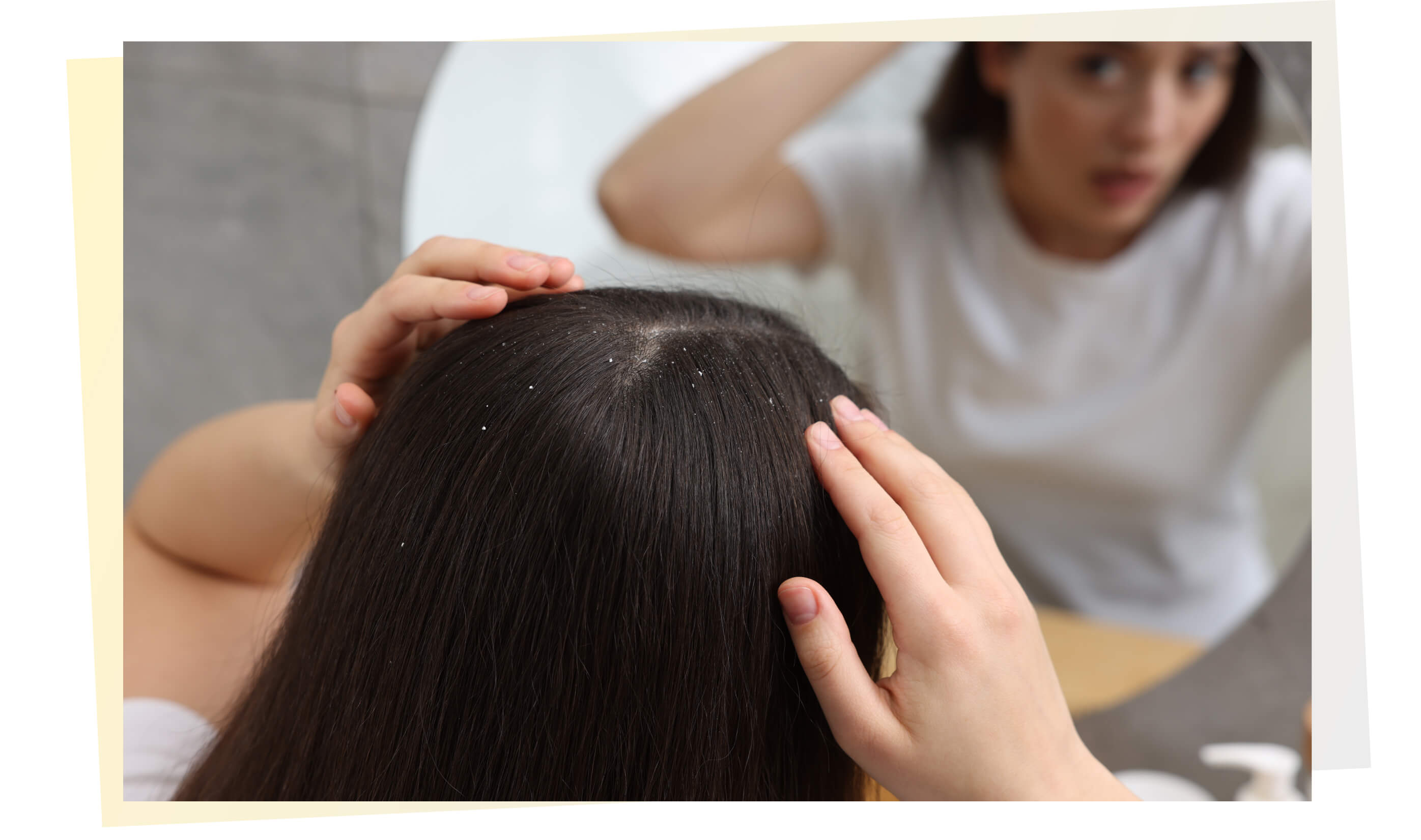 Вступительное изображение